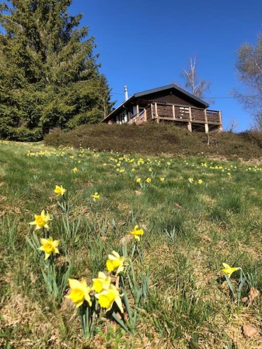 Le Chalet Des Coeurs Le Tholy Exterior photo